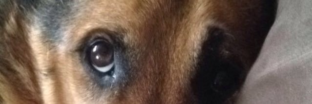 JohnCole43's profile banner image