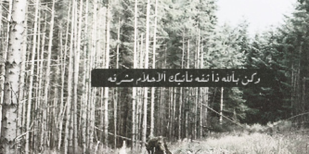 ام عبدالعزيز ٢ banner