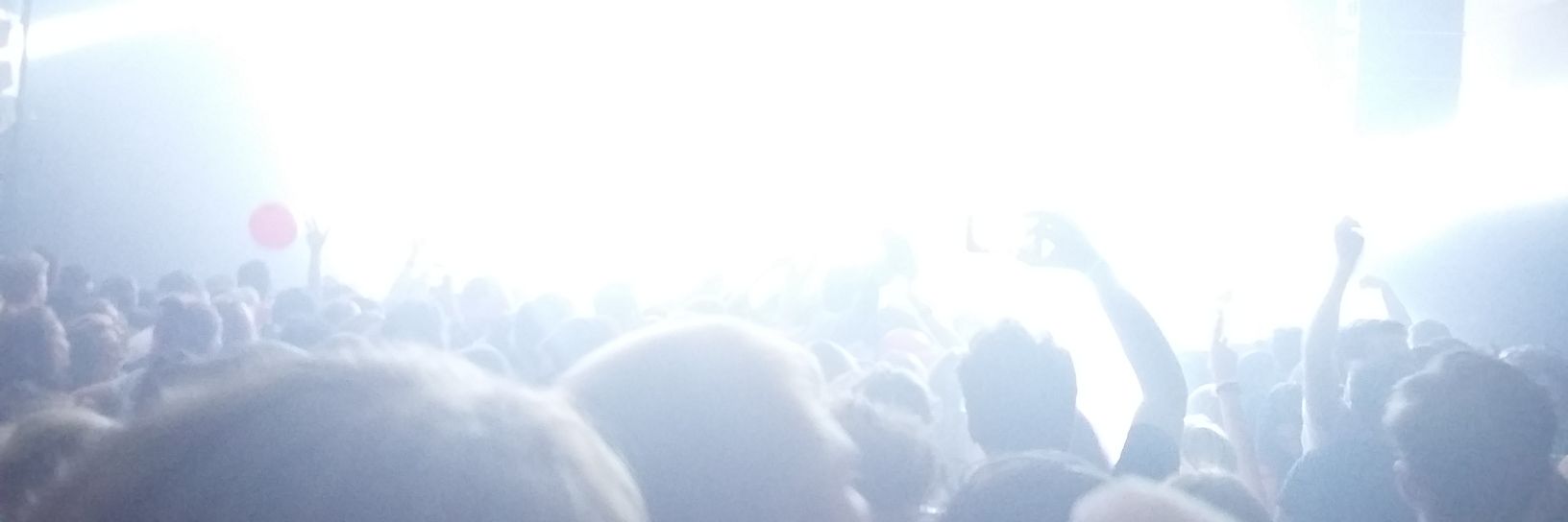 Kathy Donaldson banner