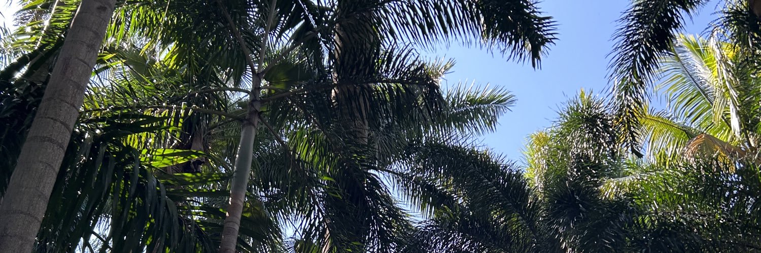 Yelhsaaa_'s profile banner image