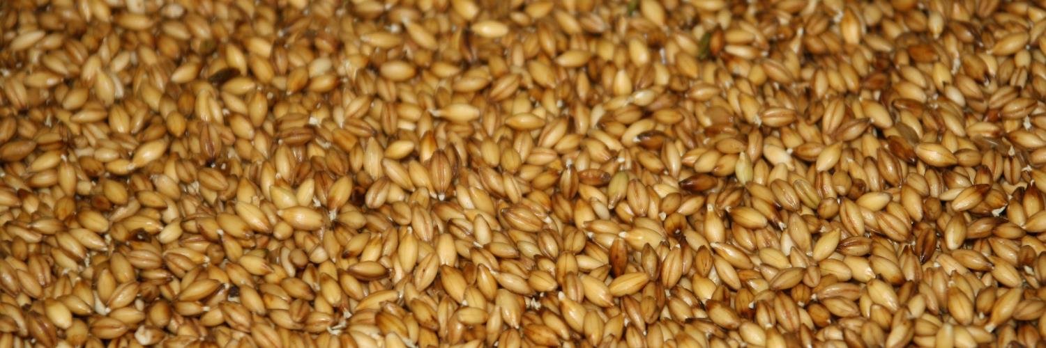 Curt Robinson banner