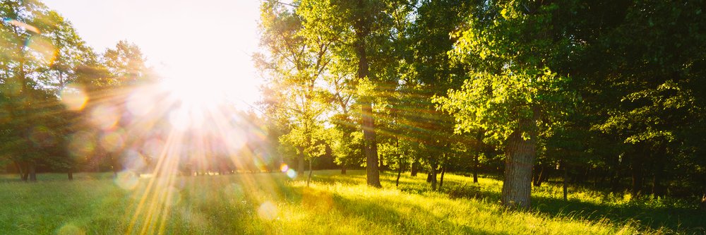 sharethehope's profile banner image