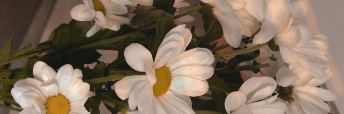 mutllulukk's profile banner image