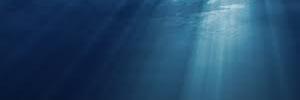 arielleld's profile banner image