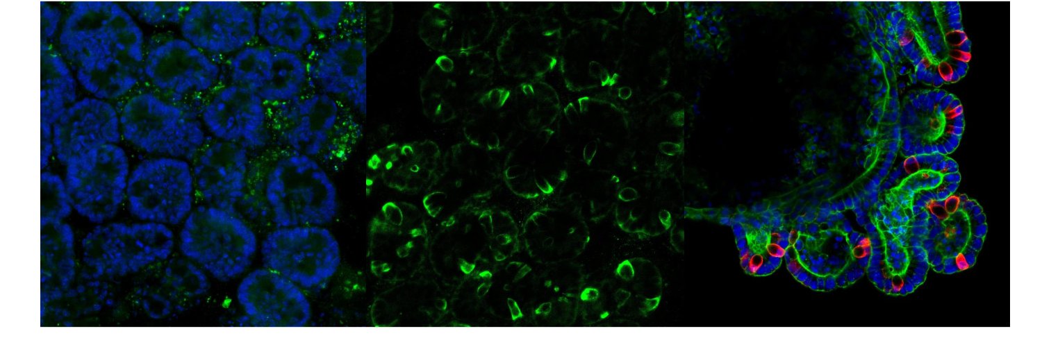 Matthias Schewe banner