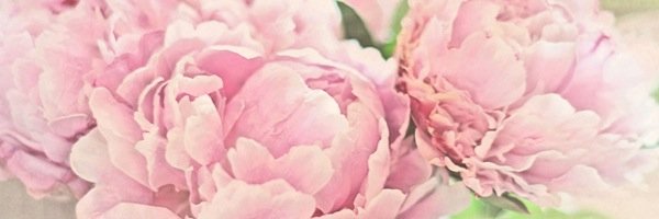 Elizabeth Sleeper banner