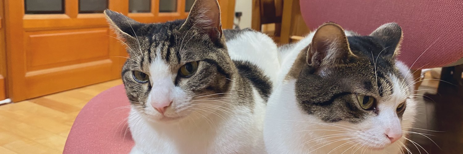 totokey's profile banner image