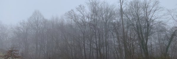 wineNweather Profile Banner