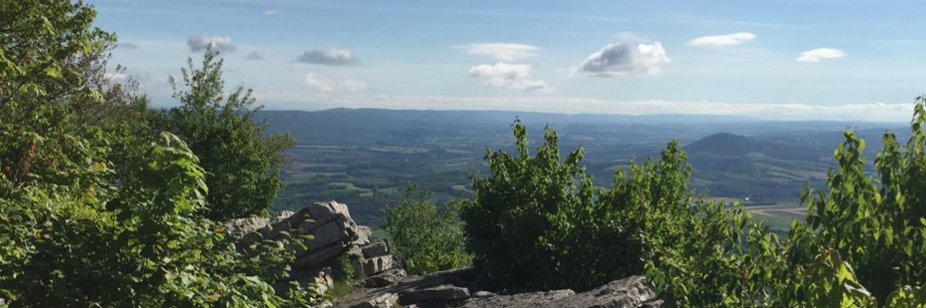 esitron's profile banner image