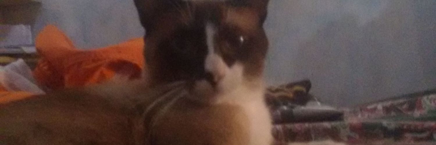 icaro_nick's profile banner image