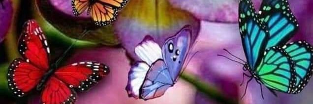 jello1957's profile banner image