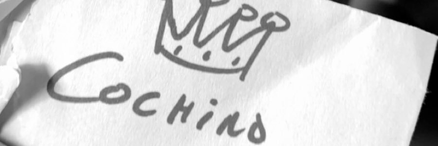 KingCochino's profile banner image