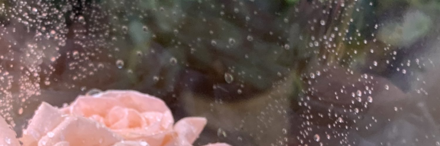 llily2504's profile banner image