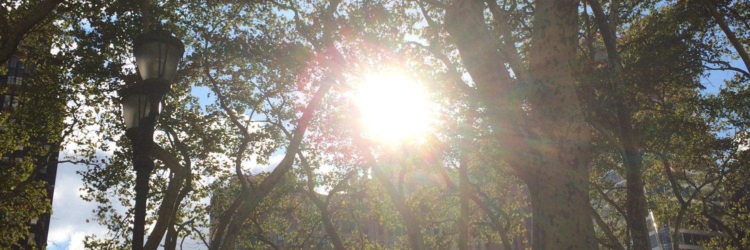 AniDeBri's profile banner image