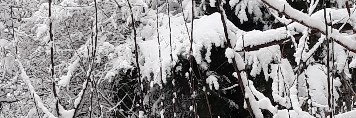 grtgrap's profile banner image