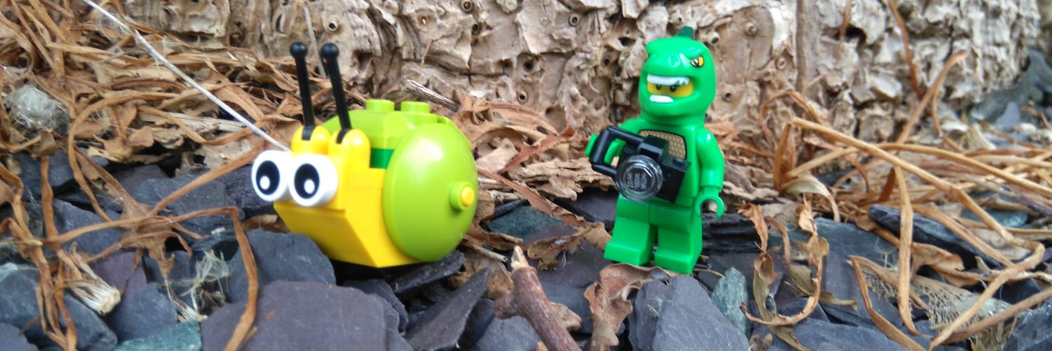 c_brickowski's profile banner image