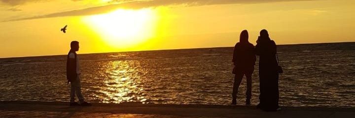 R🌺 banner