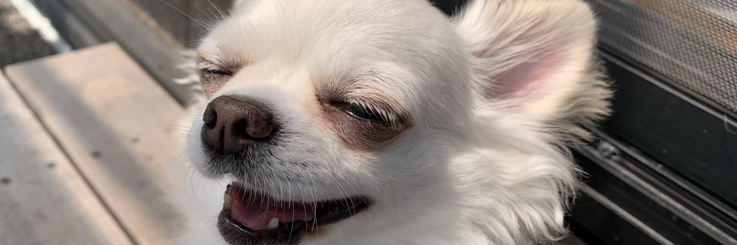 Tttttiiman's profile banner image