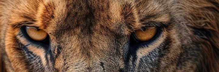 BalLaasz's profile banner image