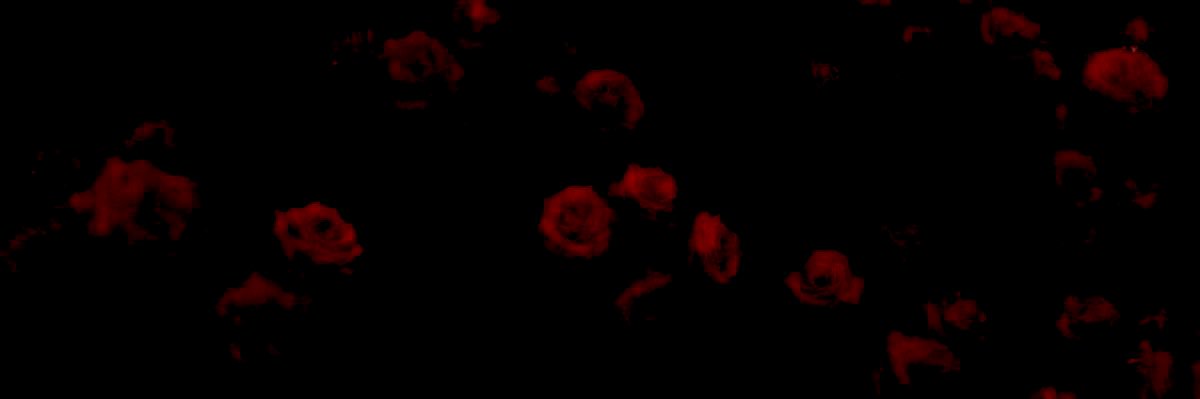 ⸺ 𝓓𝑬 𝓑𝑬𝑳𝑳𝑬 .'s banner