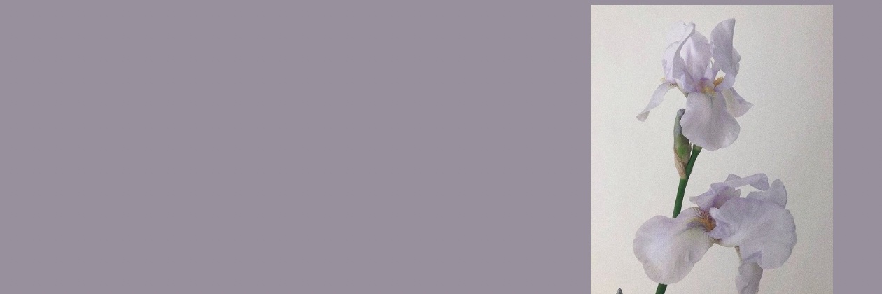 safelyfadin's profile banner image