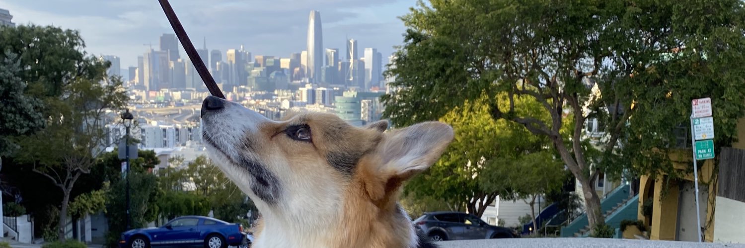 PennyMahoney's profile banner image