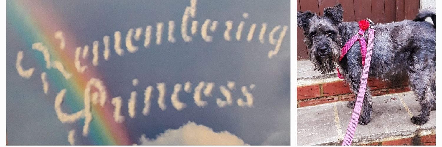 angel princess an steph 💖 😇🥰🩷 banner