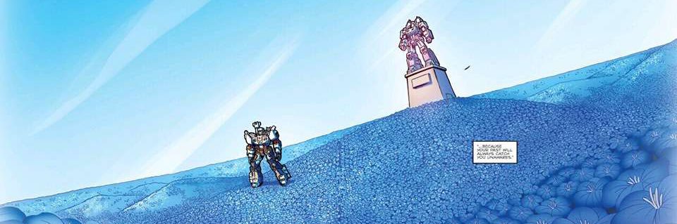 Anis Mechu’s banner