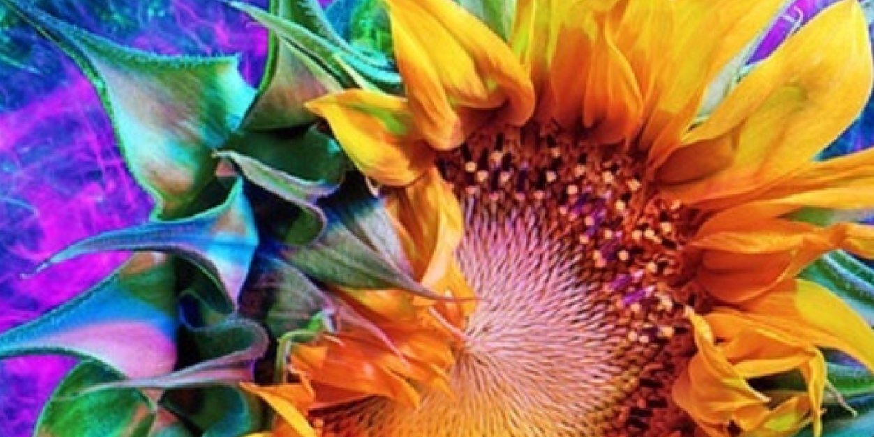 1MsBLT1's profile banner image