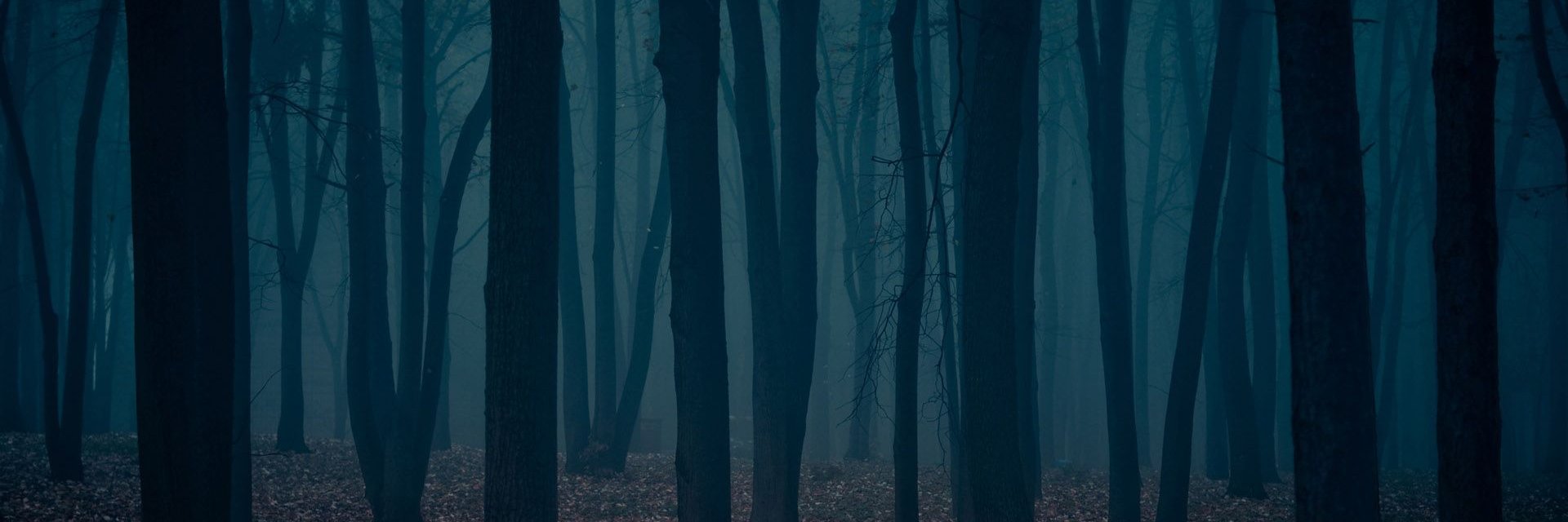 LaVanAnderson's profile banner image