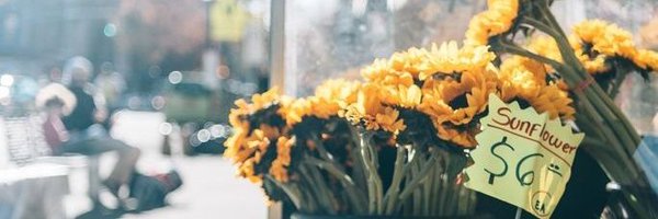 sugas_chain Profile Banner