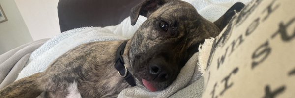 HawksDraftNerd Profile Banner