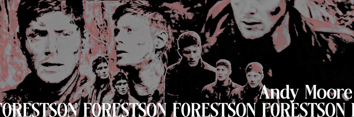 F0RESTS0N's profile banner image