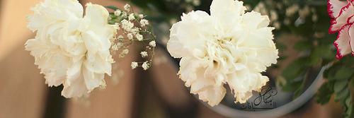 MJBBH's profile banner image
