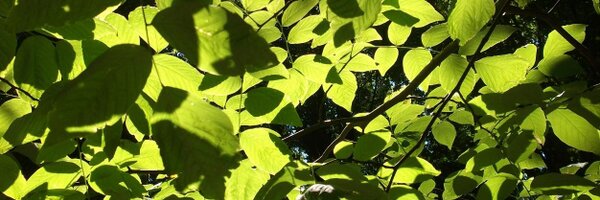 Vaaleeb__ Profile Banner