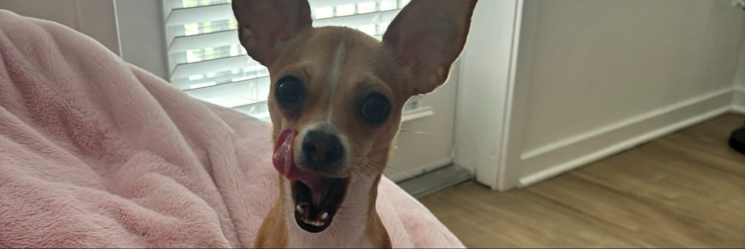 lexlexnmorelex's profile banner image
