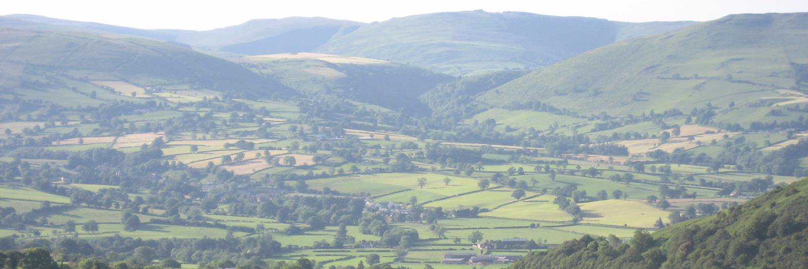 Margaret Hart banner