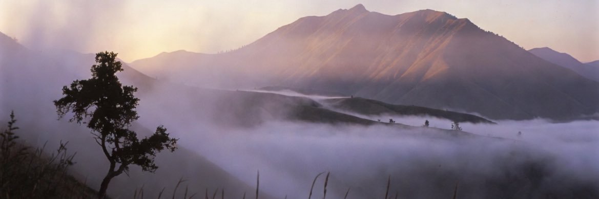 derindendus's profile banner image
