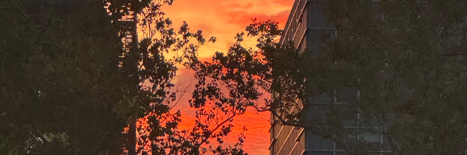 MrsCommodore's profile banner image