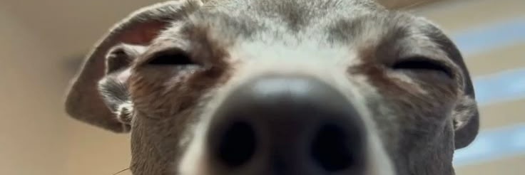 harulxve's profile banner image