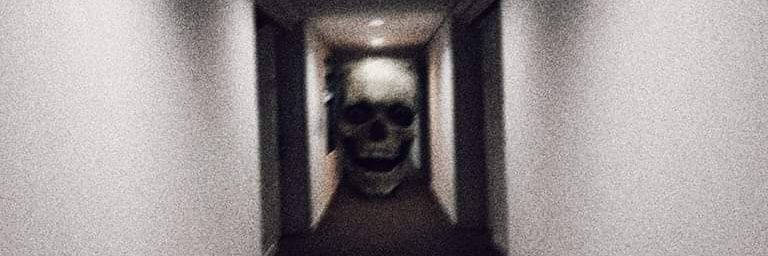 SlaXX 🇵🇪 banner