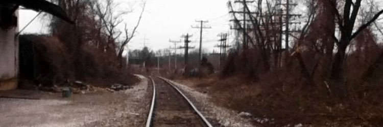 bryce_gutman's profile banner image