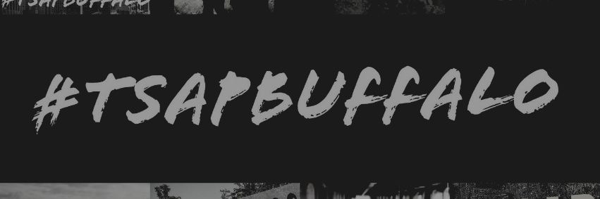 PickyLeePrickly's profile banner image