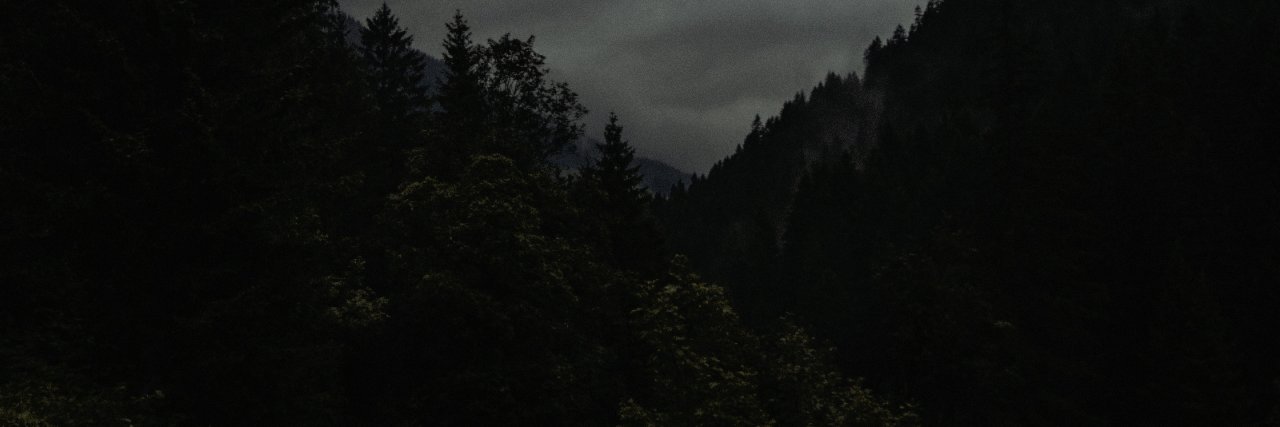petvlant's profile banner image