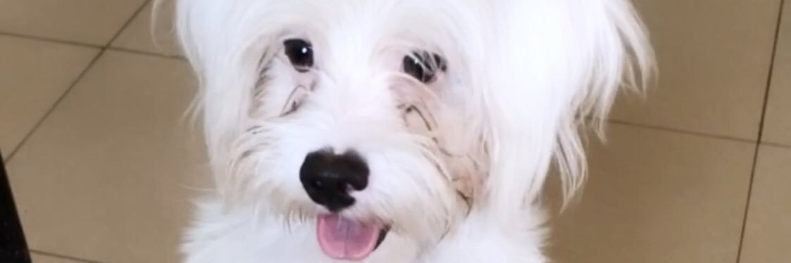 Titellllllll's profile banner image