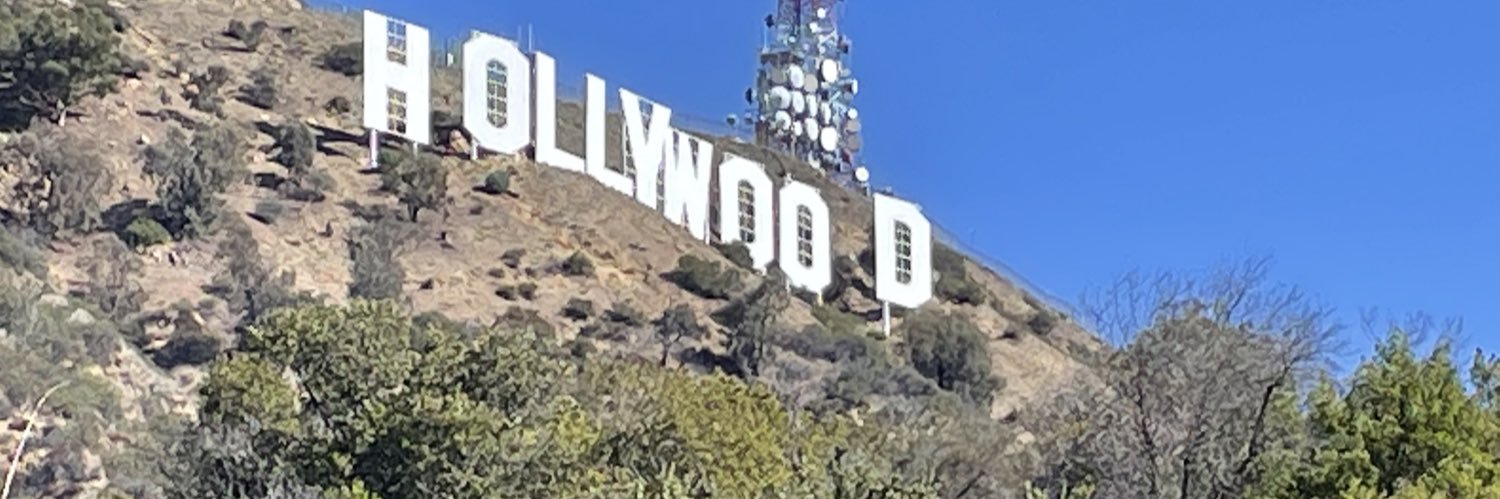 The Rooster banner