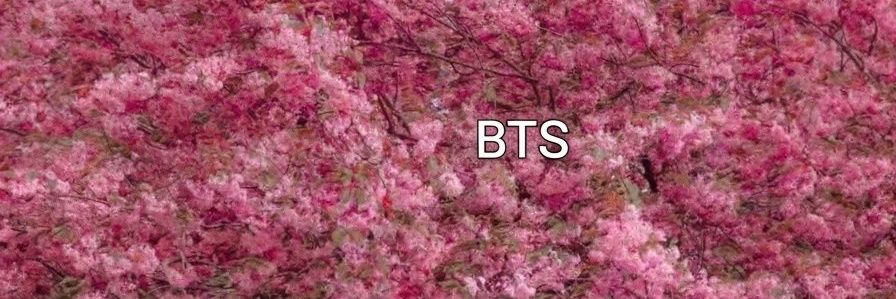 ci_c_c's profile banner image