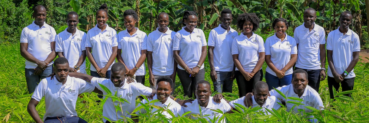 Divine Bamboo banner