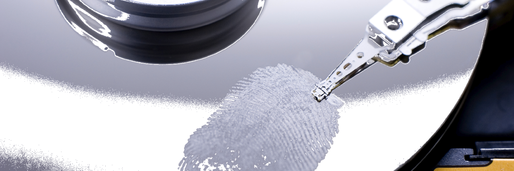 MacForensics's profile banner image