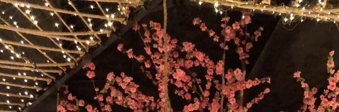 _balj's profile banner image